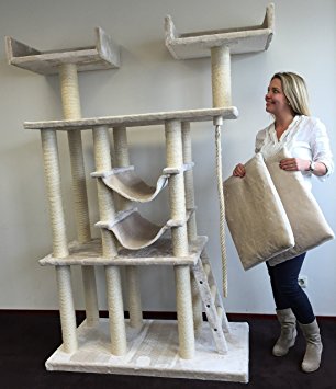 arbre a chat geant maine coon